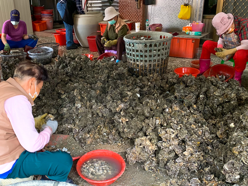 An older-generation of workers shucks the oyster shells at Chen's Oyster Rolls.