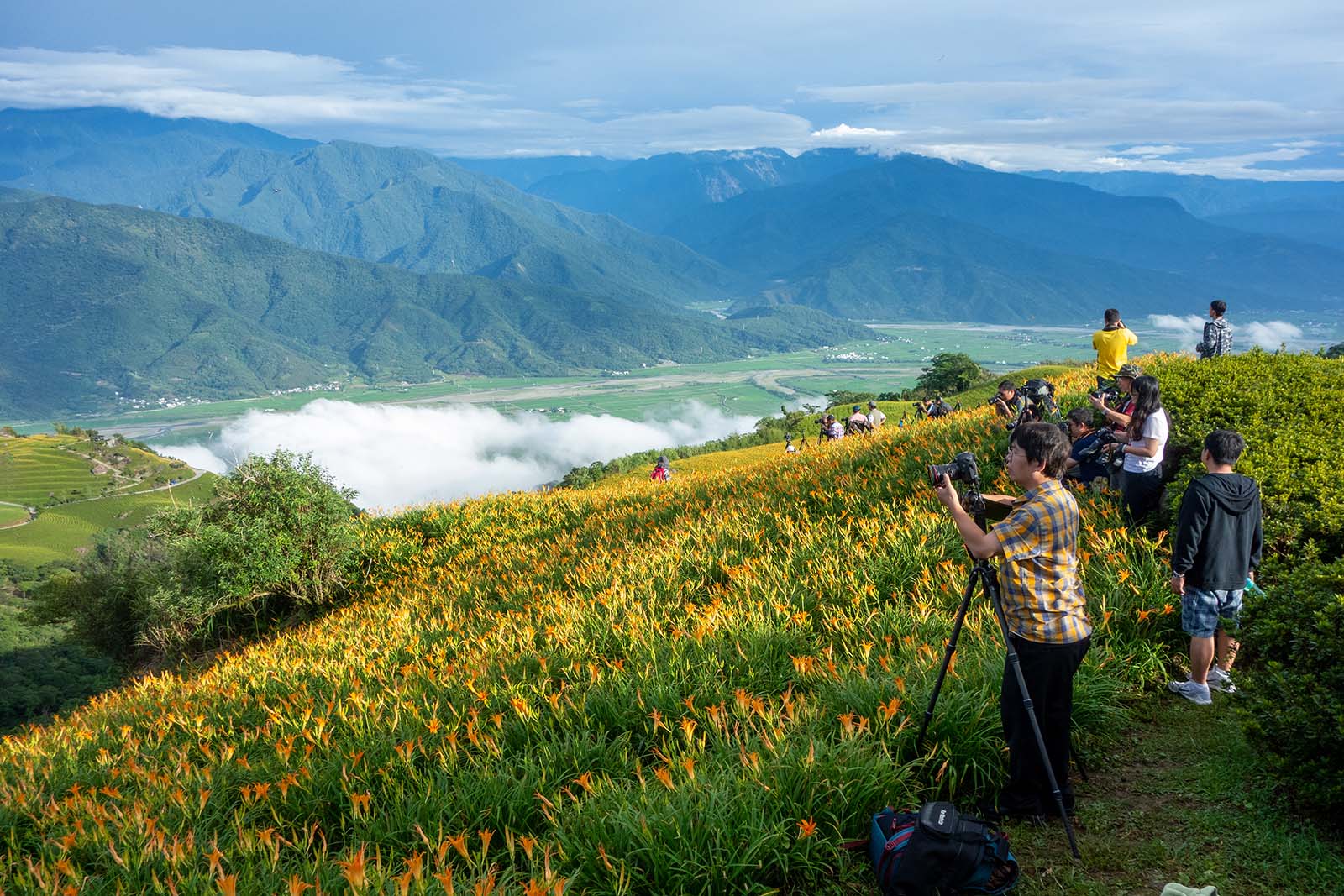 Photographers line-up to get the perfect shot atop Mt. Liushishi in the East Rift Valley during the Daylily Festival.