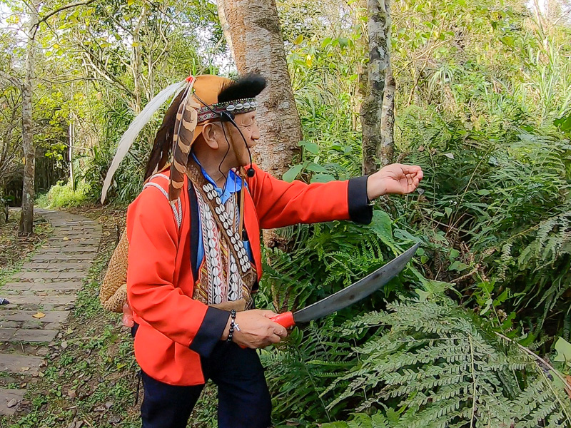 A Tsou elder points out another useful plant.