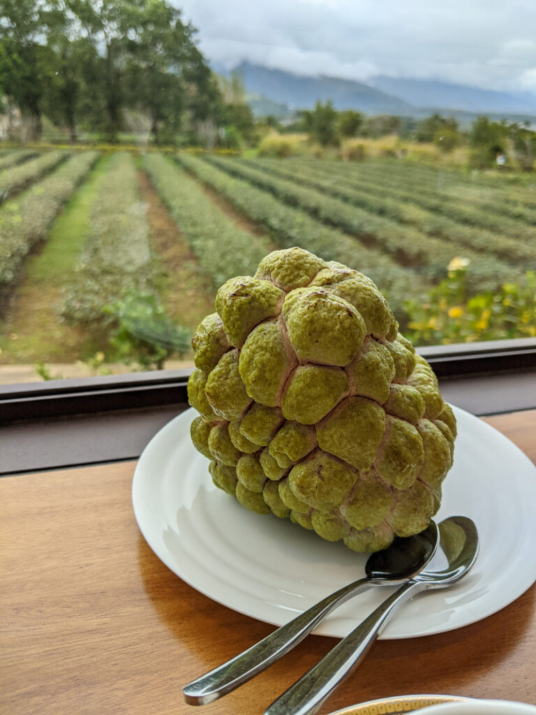 Taitung's most famous fruit, custard apple, is sweet and fleshy like pineapple.