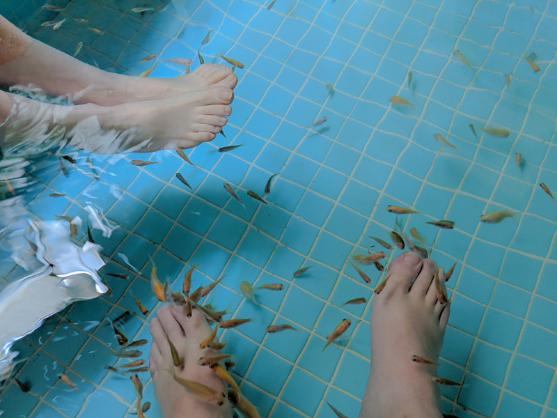 The Fish Pedicure Pool.