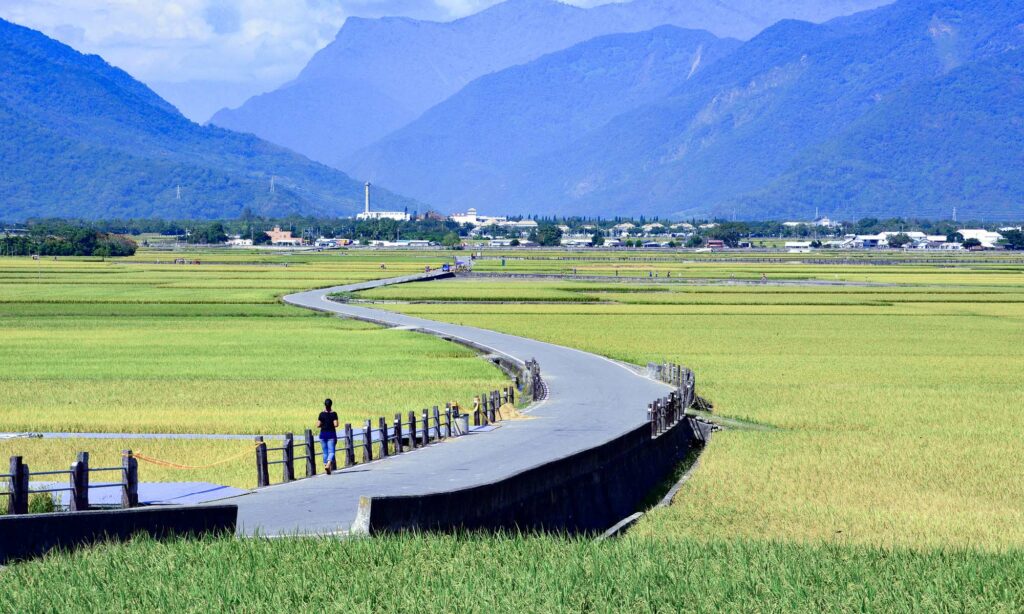 Mr Brown Avenue in Taitung is off-limits to motor vehicles making the perfect place to take a relaxing bike ride.