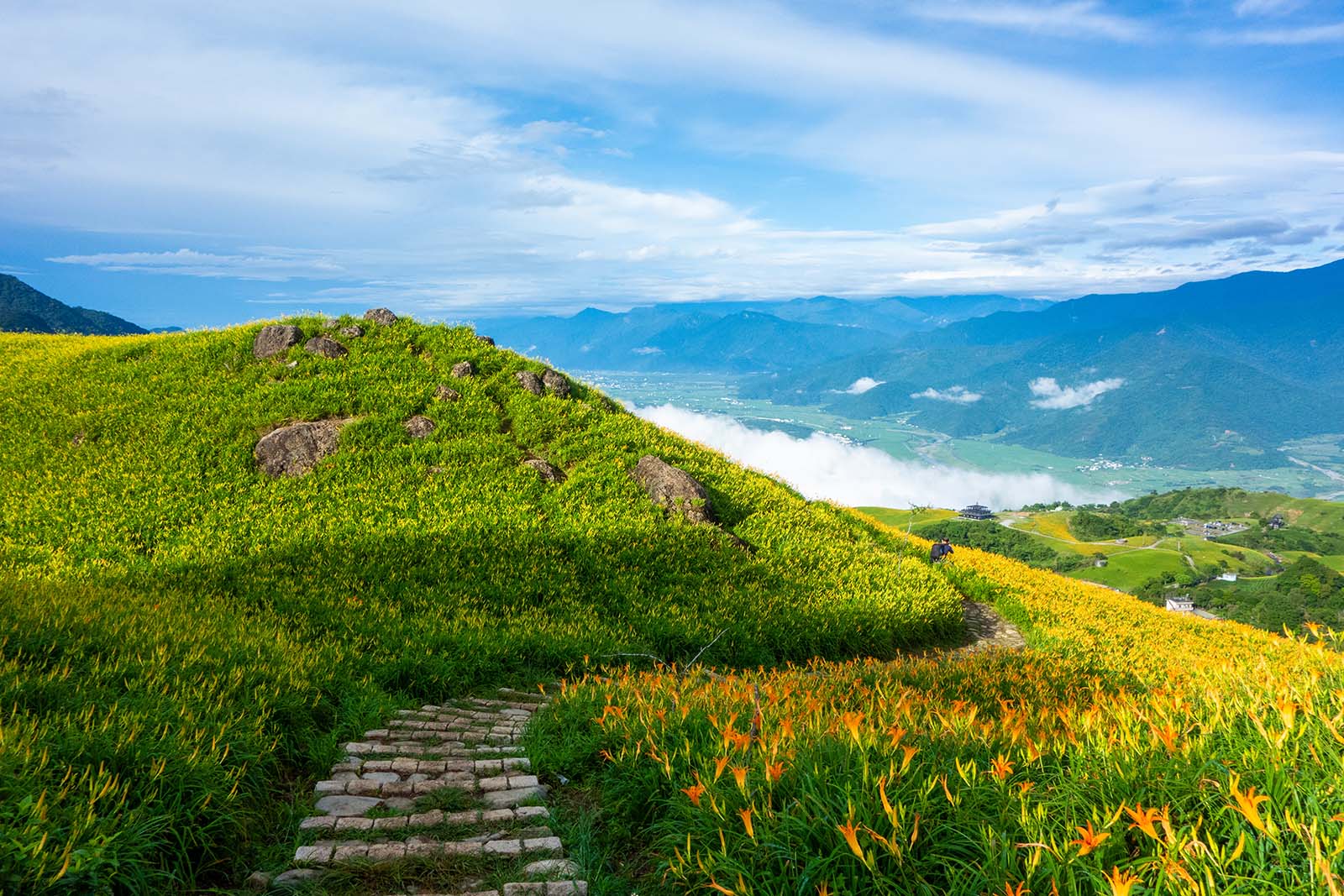 Every September, the daylilies planted on top of Sixty Stone Mountain bloom attracting visitors from all over Taiwan.