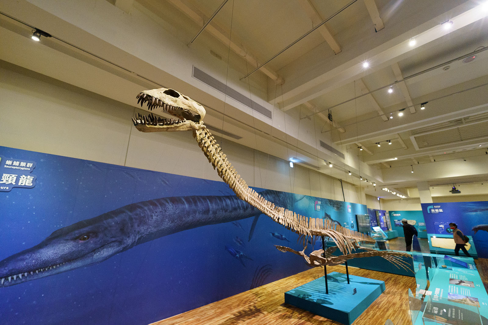 National Taiwan Museum exhibitions cover Taiwan's prehistory, including dinasours.