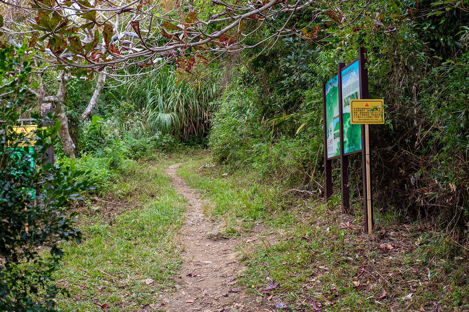 The entrance to the Dulan Mountain Hiking Trail.