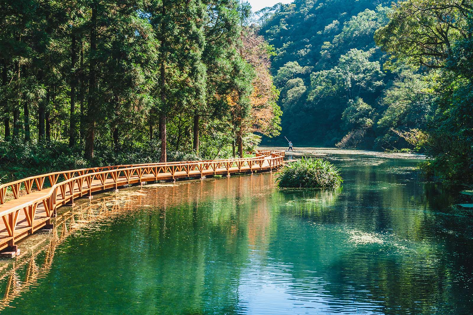 One of Fushan Botanical Garden's many walking paths.