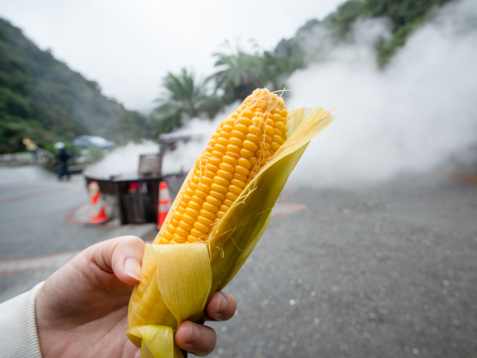 Boiled corn is shown; steam rises from a boiling pool of hot spring water in the background.