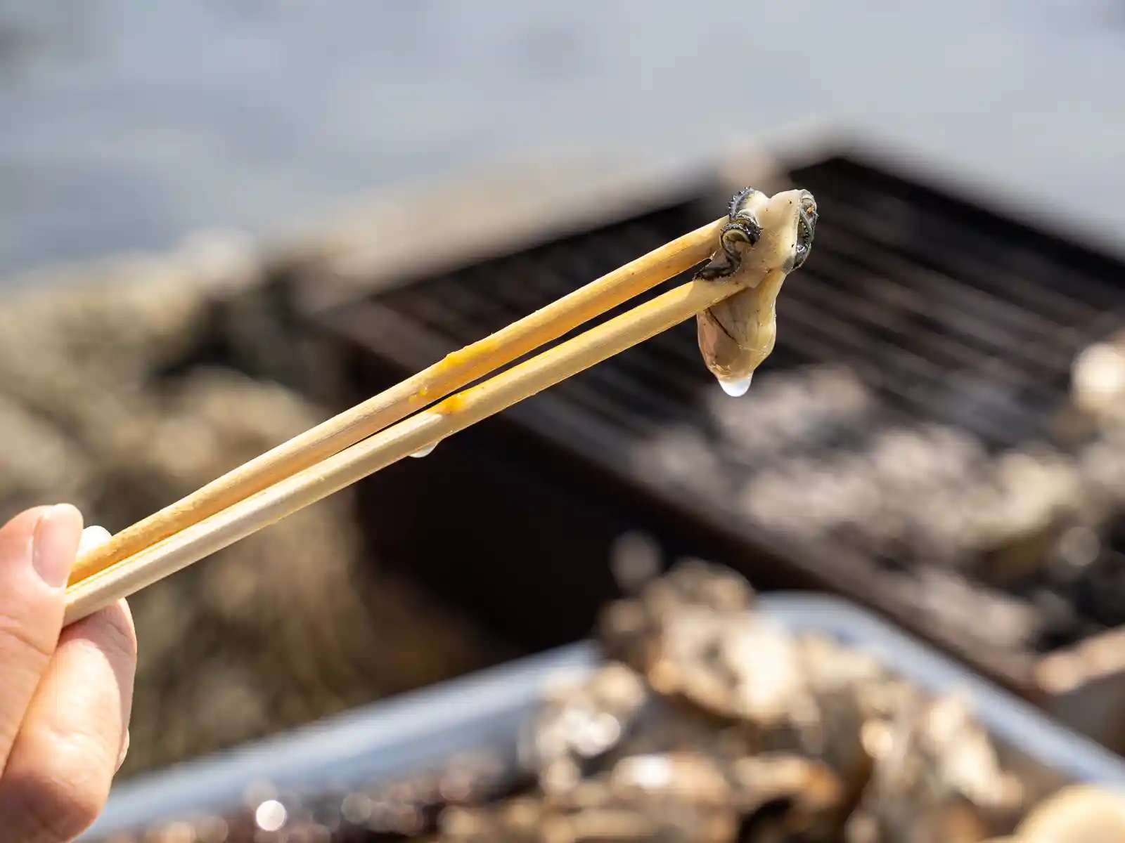 A close-up of an grilled oyster.