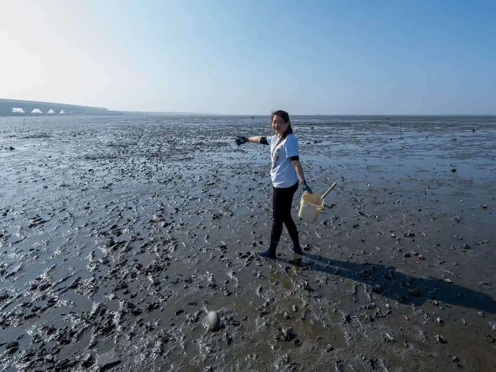 A tourist walks across the tidal flats with a bucket for collecting clams.