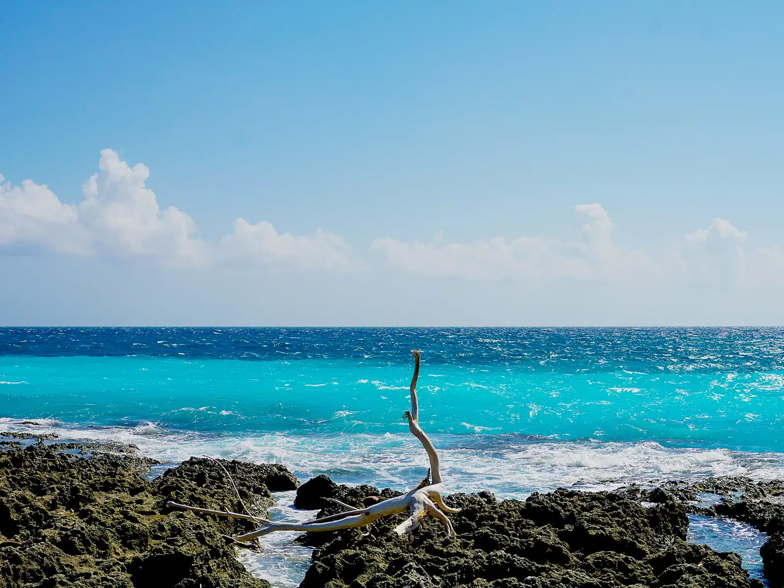 A piece of driftwood is stuck in the volcanic rocks at Baishawan Beach.