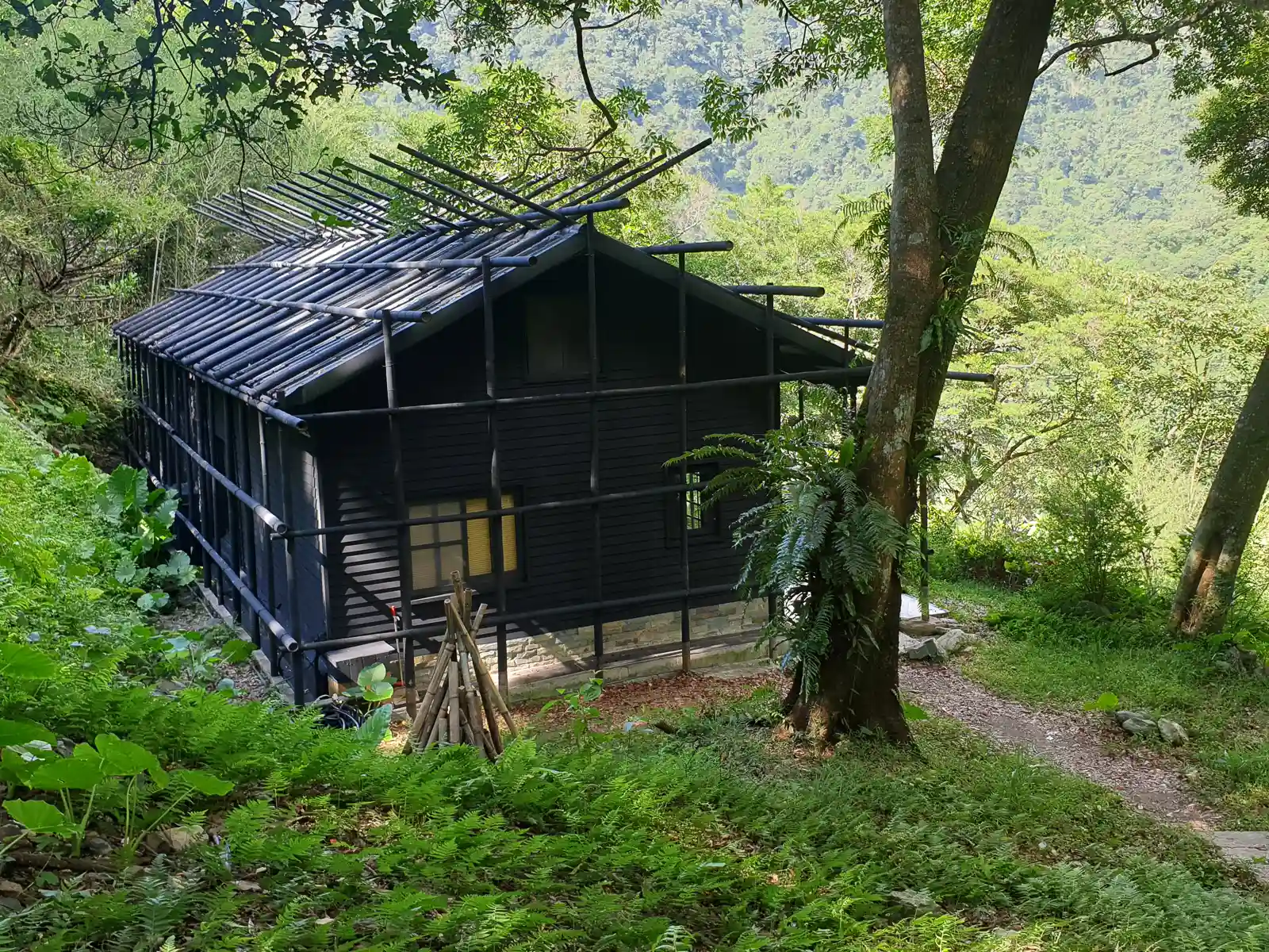 One of the buildings of Fusen Banzhi Trio, surrounded by bamboo lattice, can be seen in the middle of the jungle.