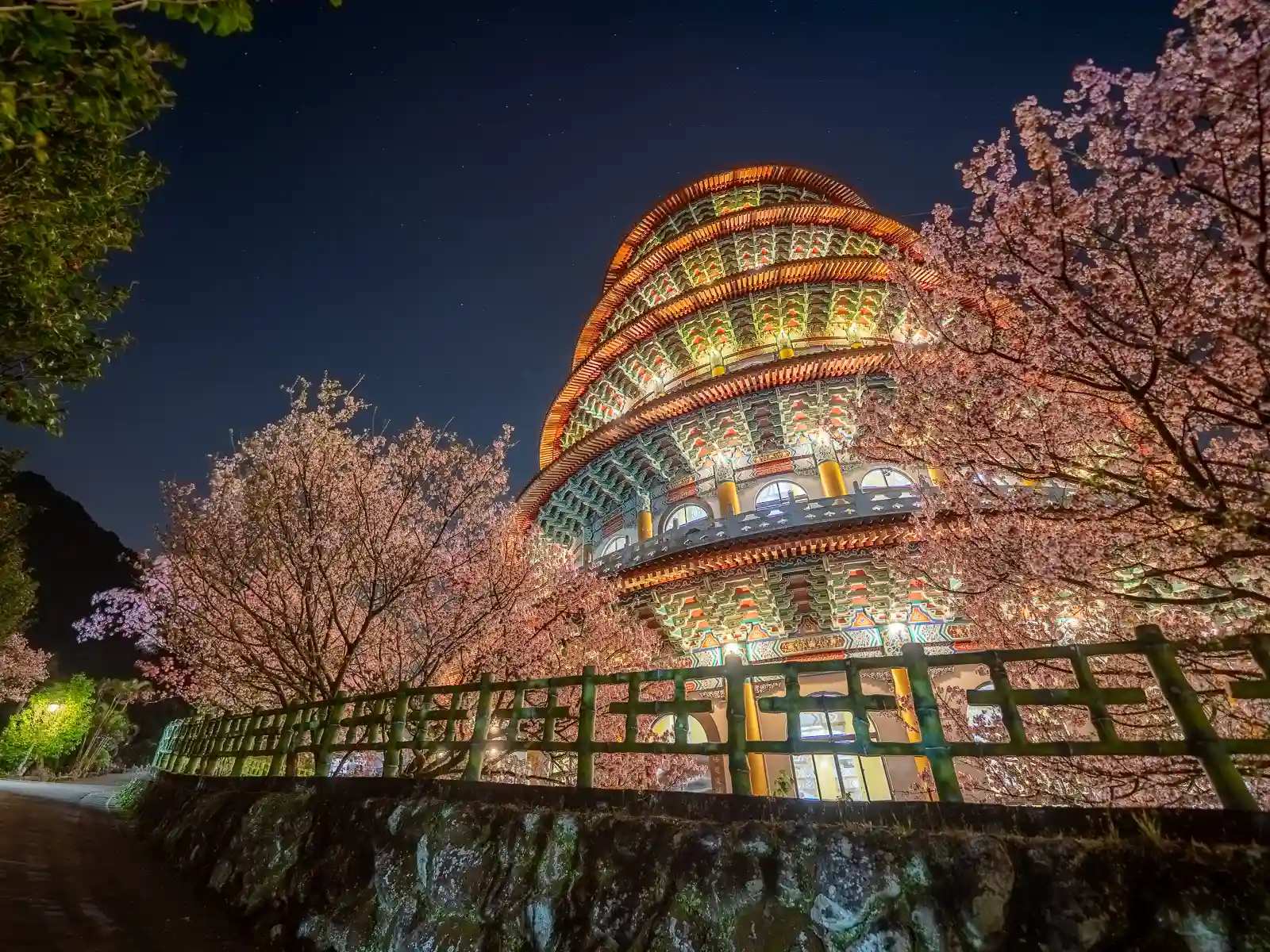 Cherry trees with their blossoms illuminated at night by the lights from the temple.