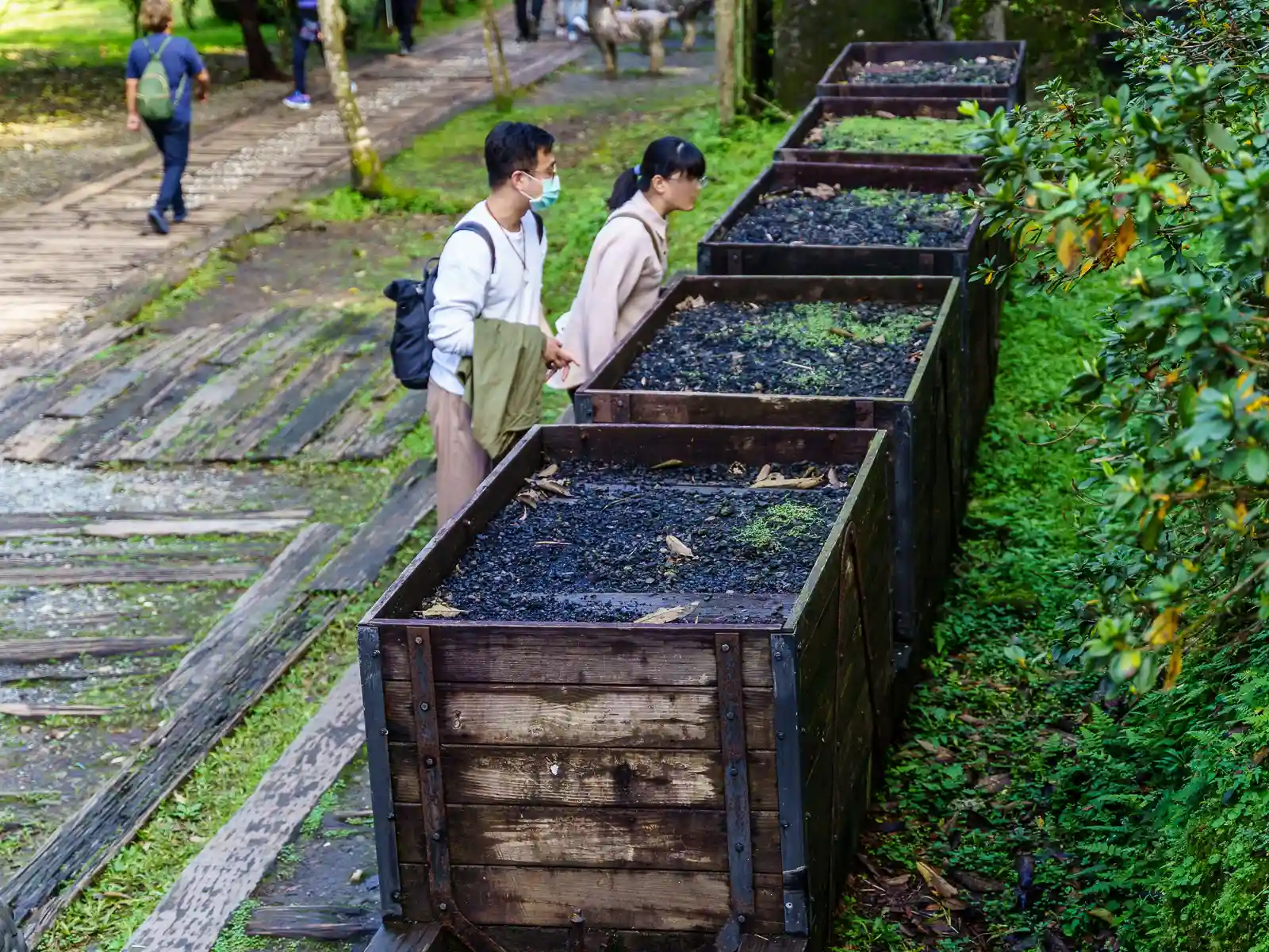 Tourists take a look at wagons once used for transporting coal.