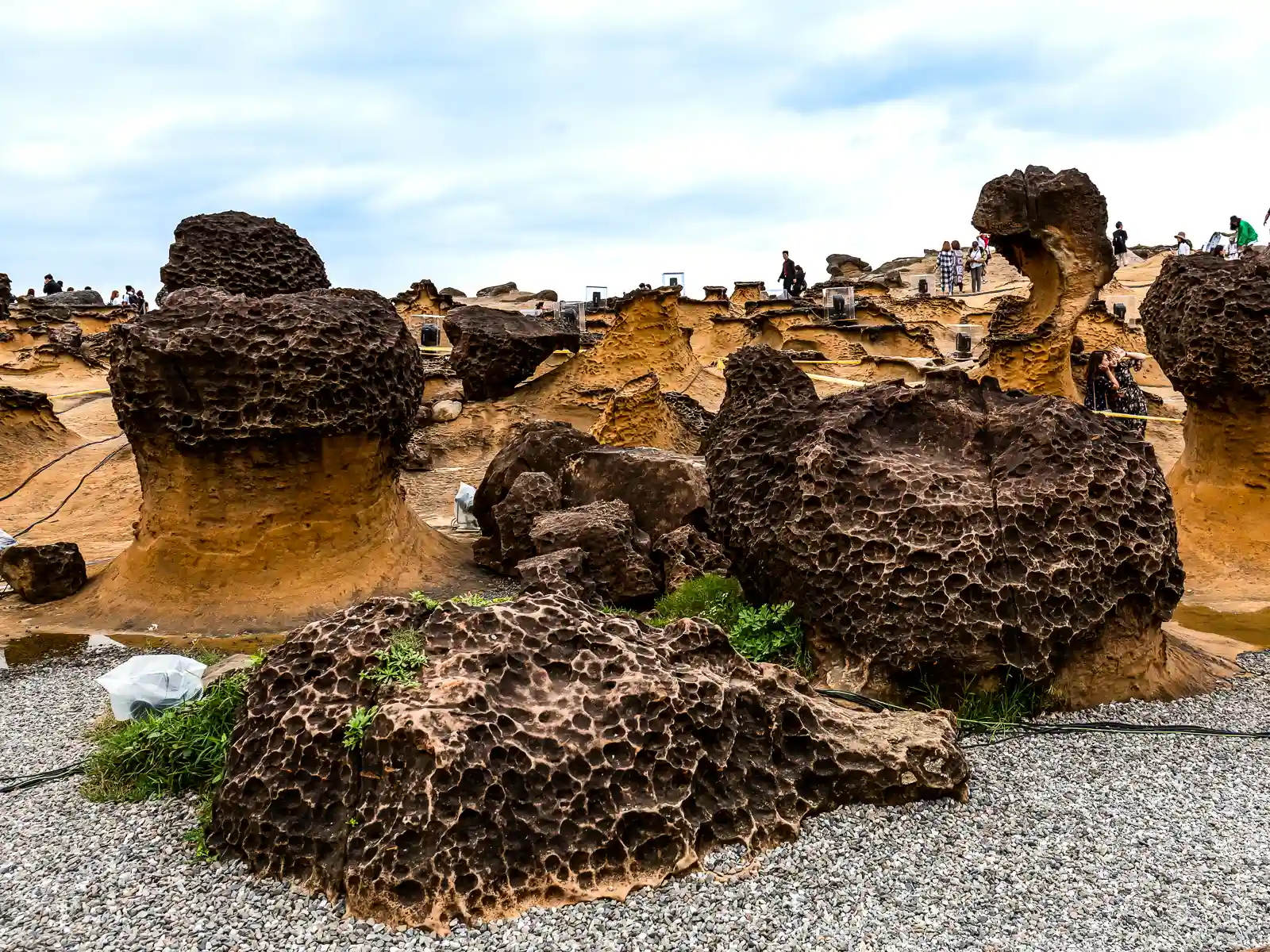 Rocks are covered in hundreds of pockets referred to as "honeycomb erosion".