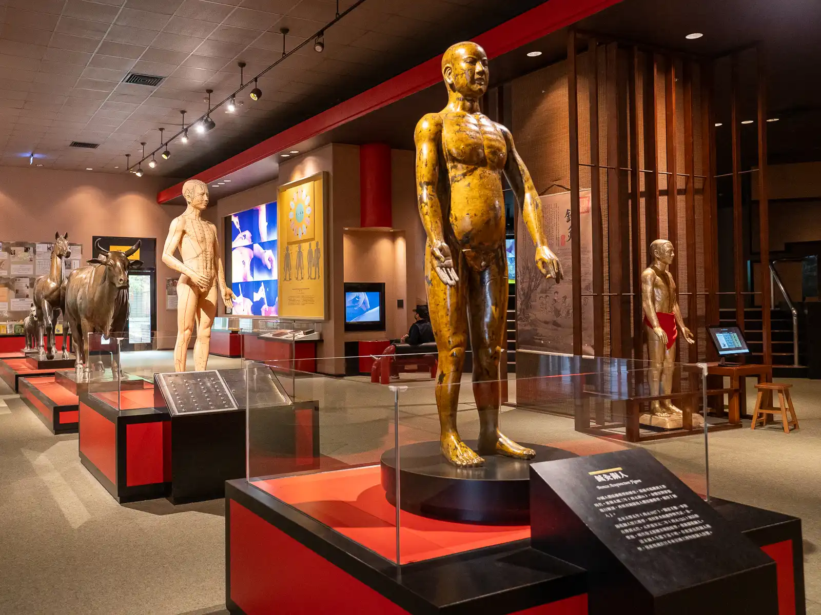 Lifesize bronze figures of humans and horses are on display inside the National Museum of Natural Science