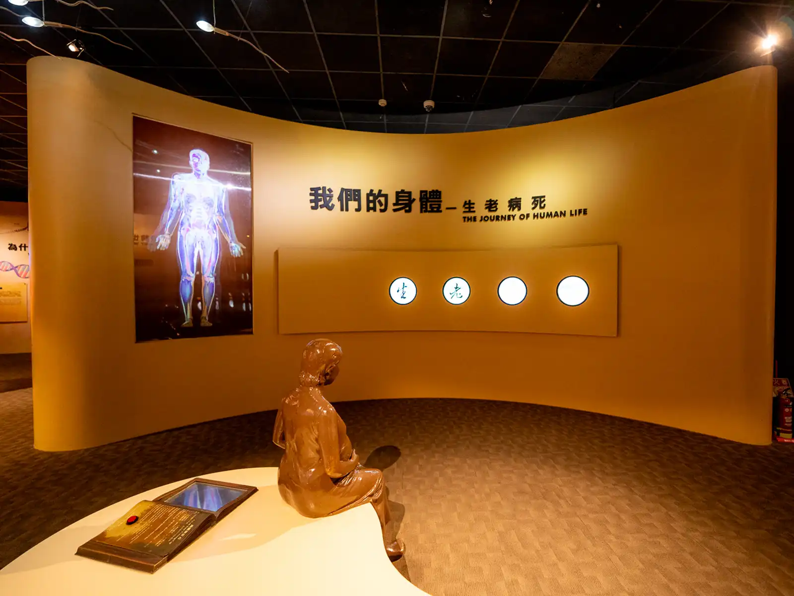 The title of an exhibit "The Journey of Human Life" can be seen on a wall in the museum.