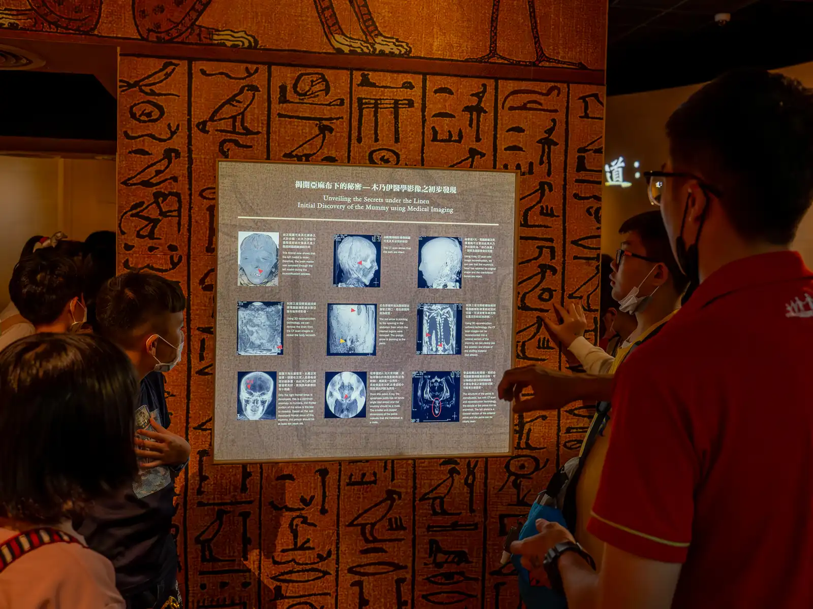 A backlit display shows how mummies have been studied using medical imaging.