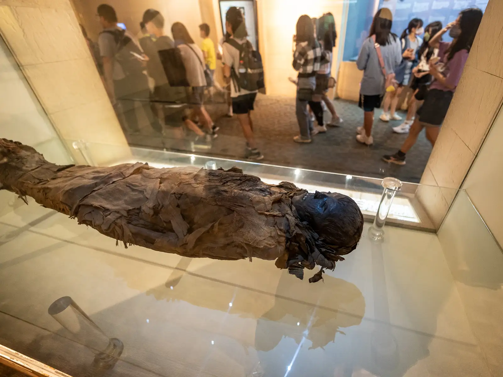 A mummy is on display at the National Museum of Natural Science in Taichung.