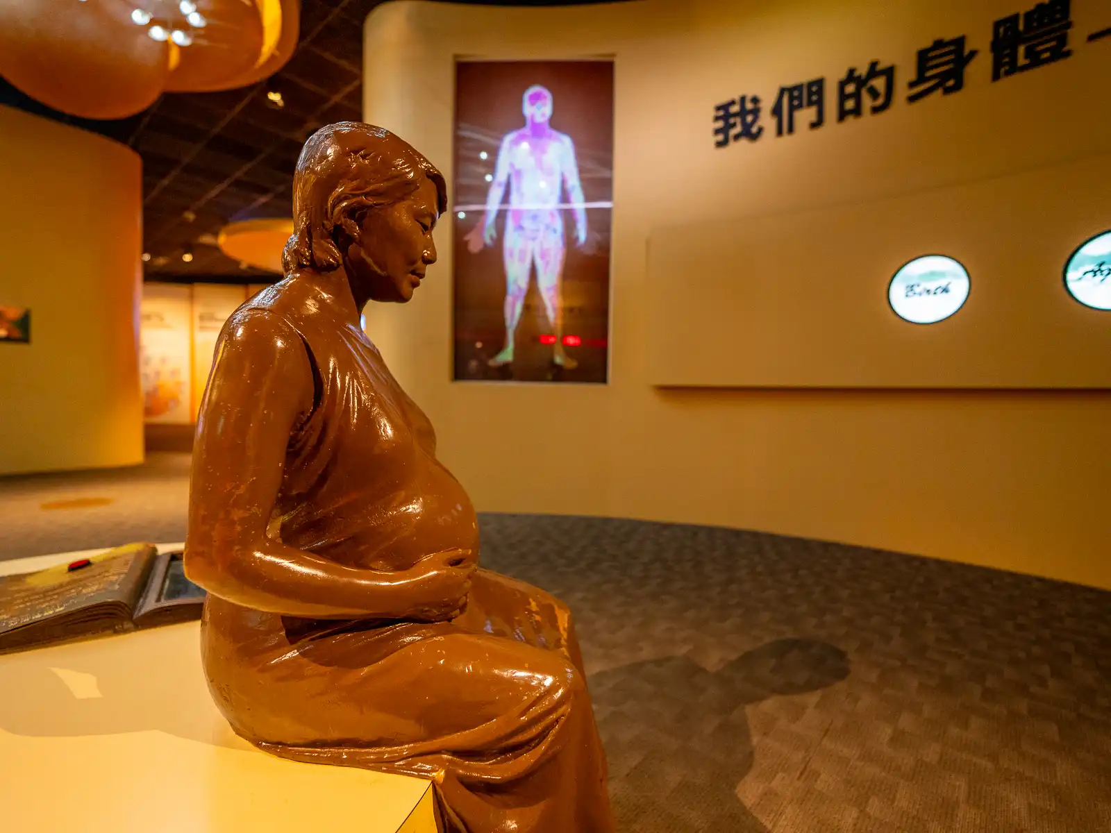 An exhibit of a seated pregnant woman sculpture at 'The Journey of Human Life' exhibition.