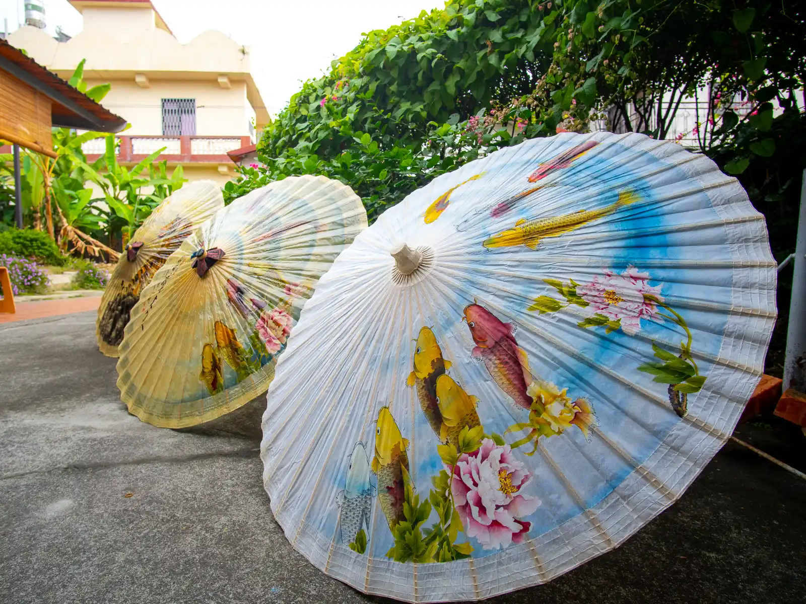 Three oil-paper umbrellas on display are decorated with images of fish and flowers.