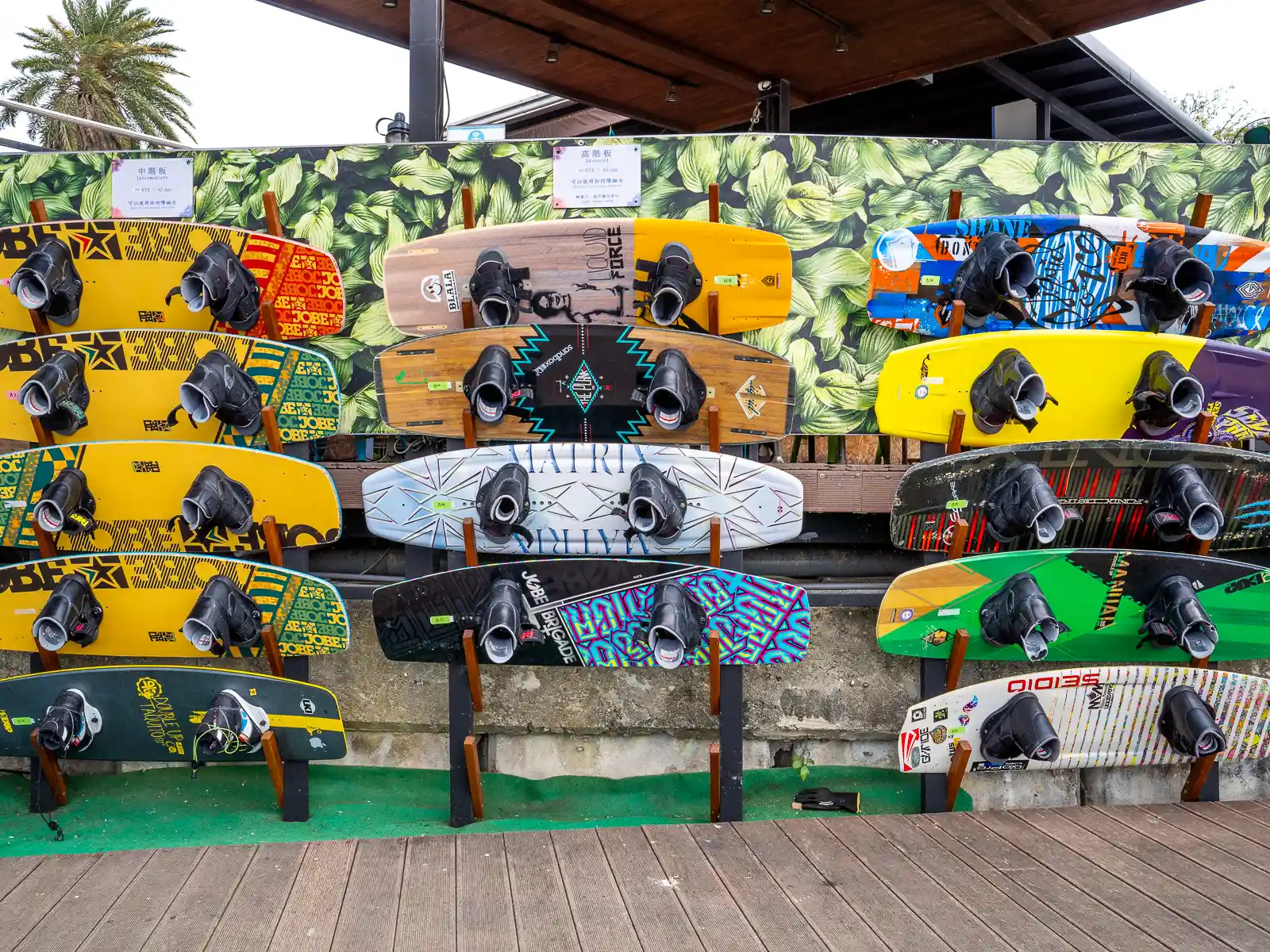 A selection of wakeboards is displayed on a wall.