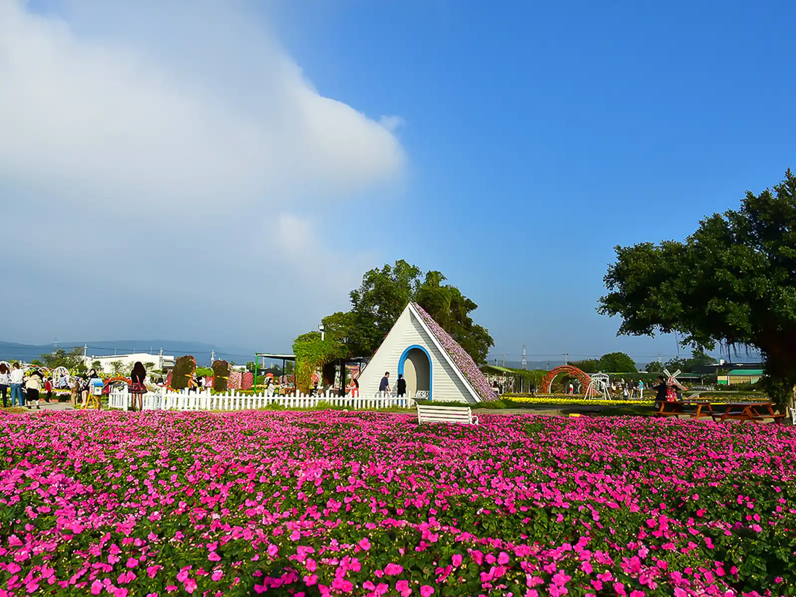 Farm decorations and fields of flowers intertwine at Chungshe Flower Garden.