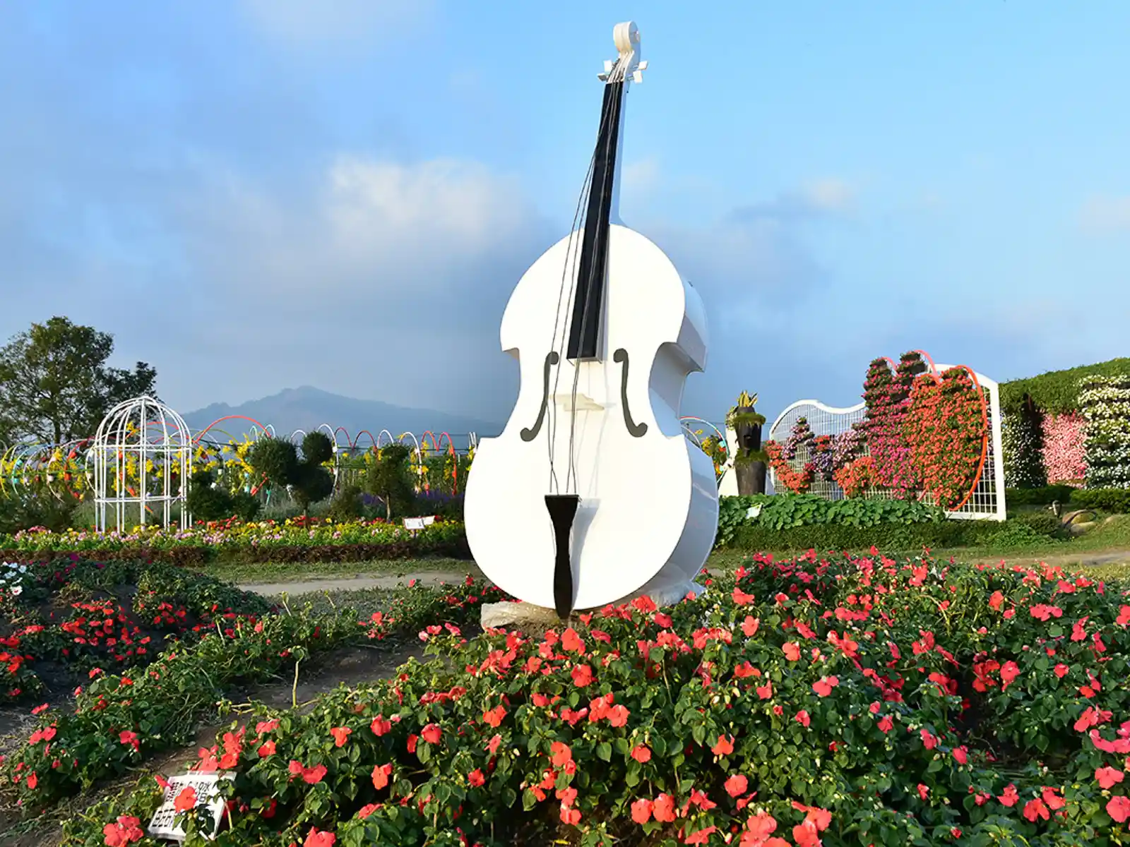 A statue of an upright bass is in one of the flower fields.