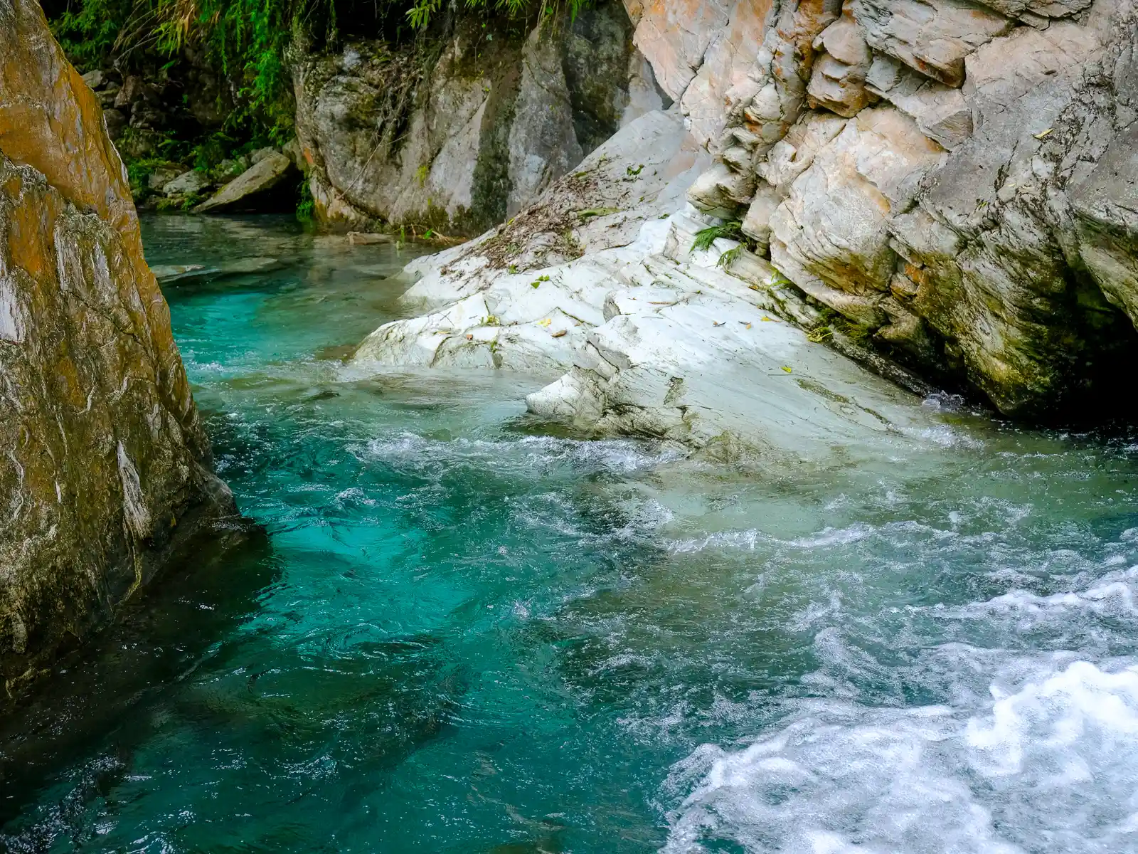 Crystal-clear water flows between smooth pale-colored rocks on which various colors of moss grow.