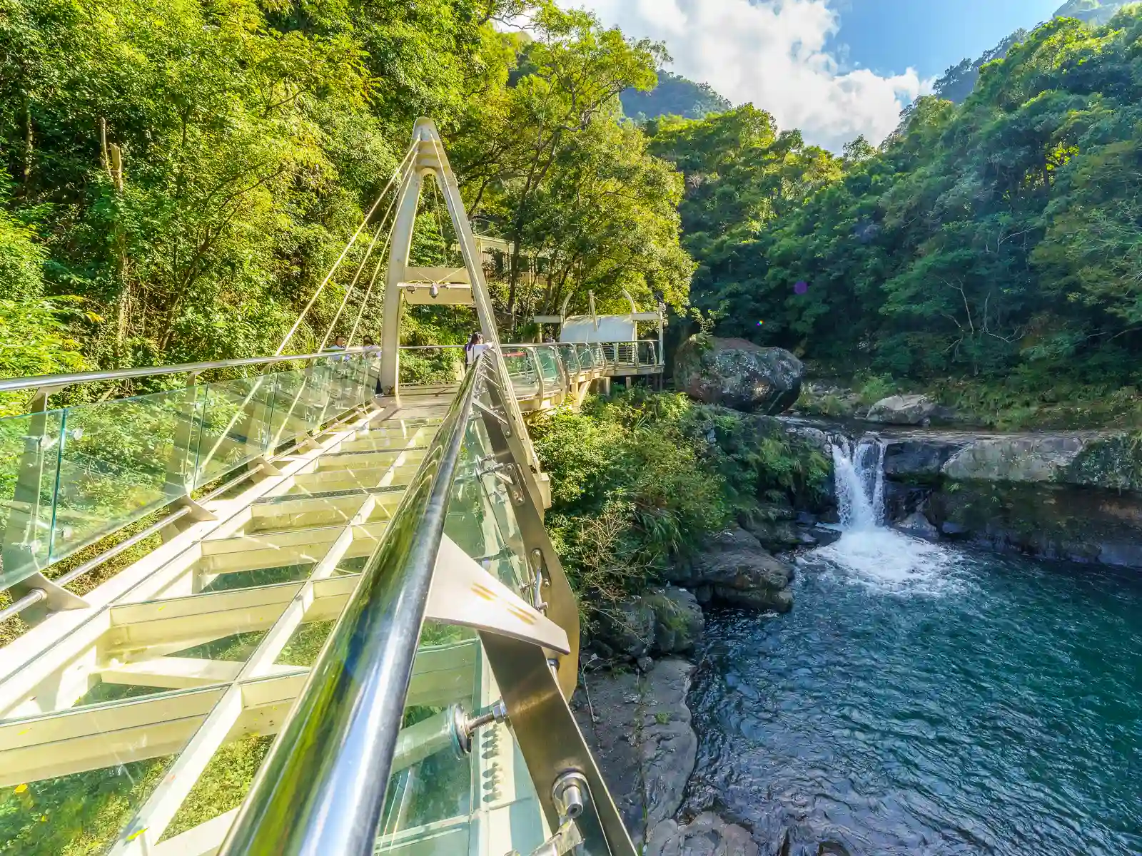A glass-bottomed skywalk leads visitors out of the jungle and across river.