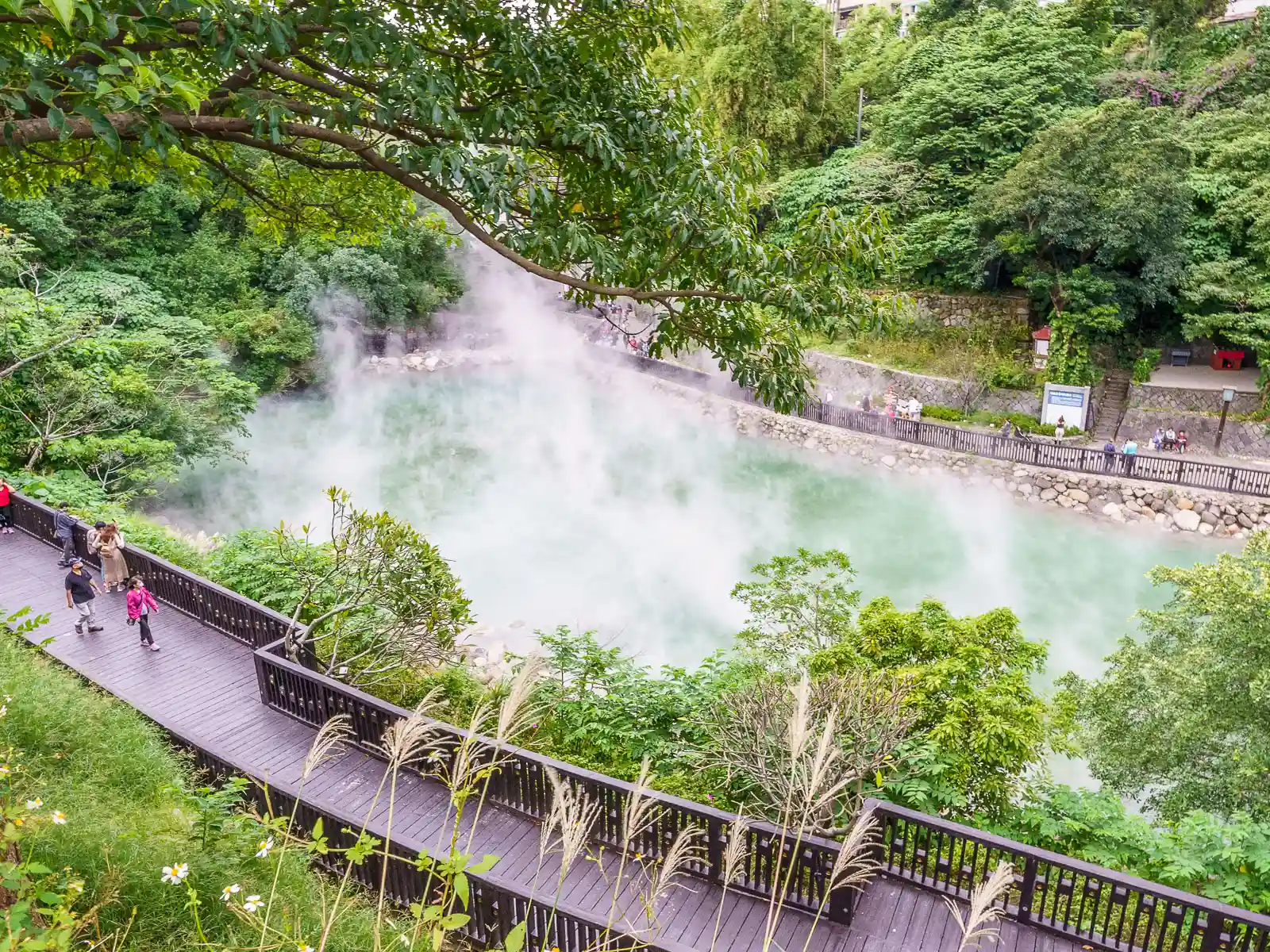 Steam rises from the scalding pool at Geothermal Valley.