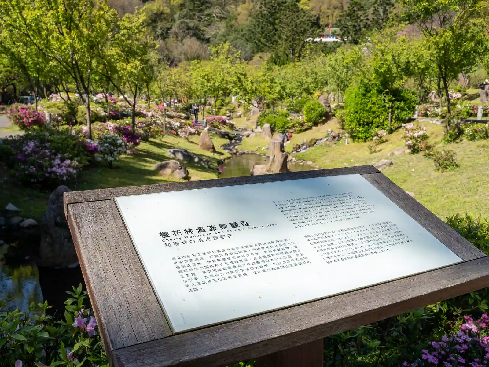 A notice board describes this Cherry Woodland and Stream Scenic Area