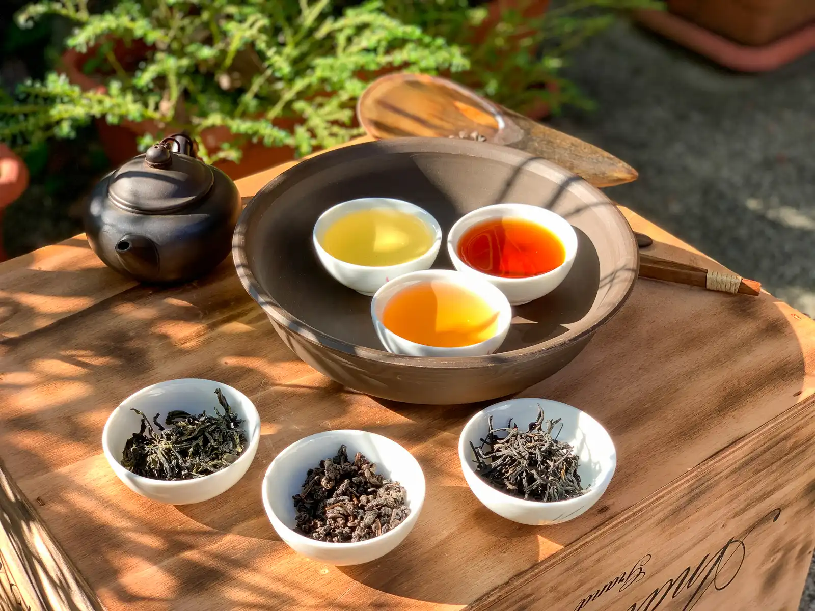 Three types of tea in cups beside tea leaves on a wooden table.