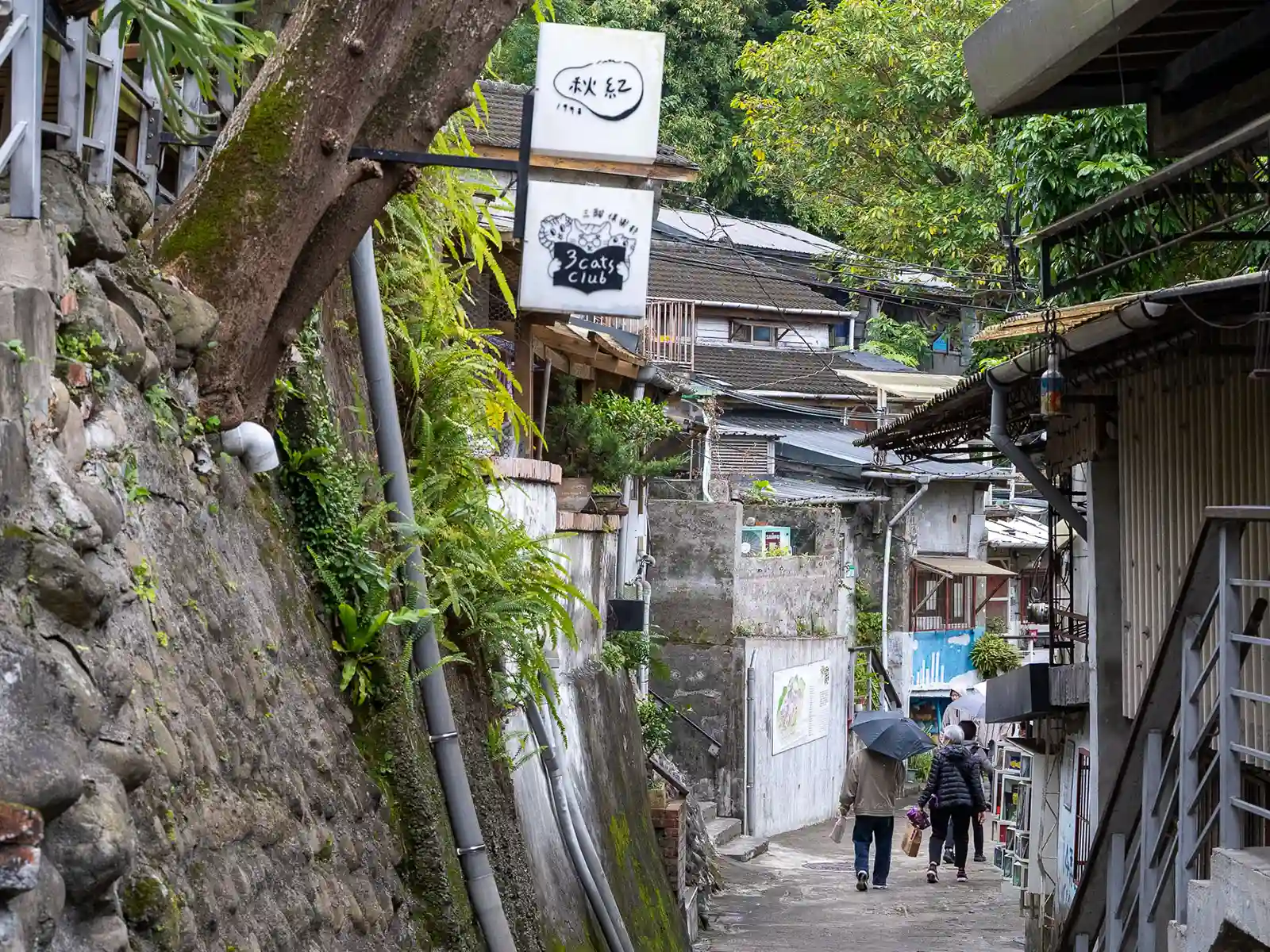 A sign for the "3 Cats Club" can be seen in front of an alley that is bordered on either sides by water pipes and irregular architecture.