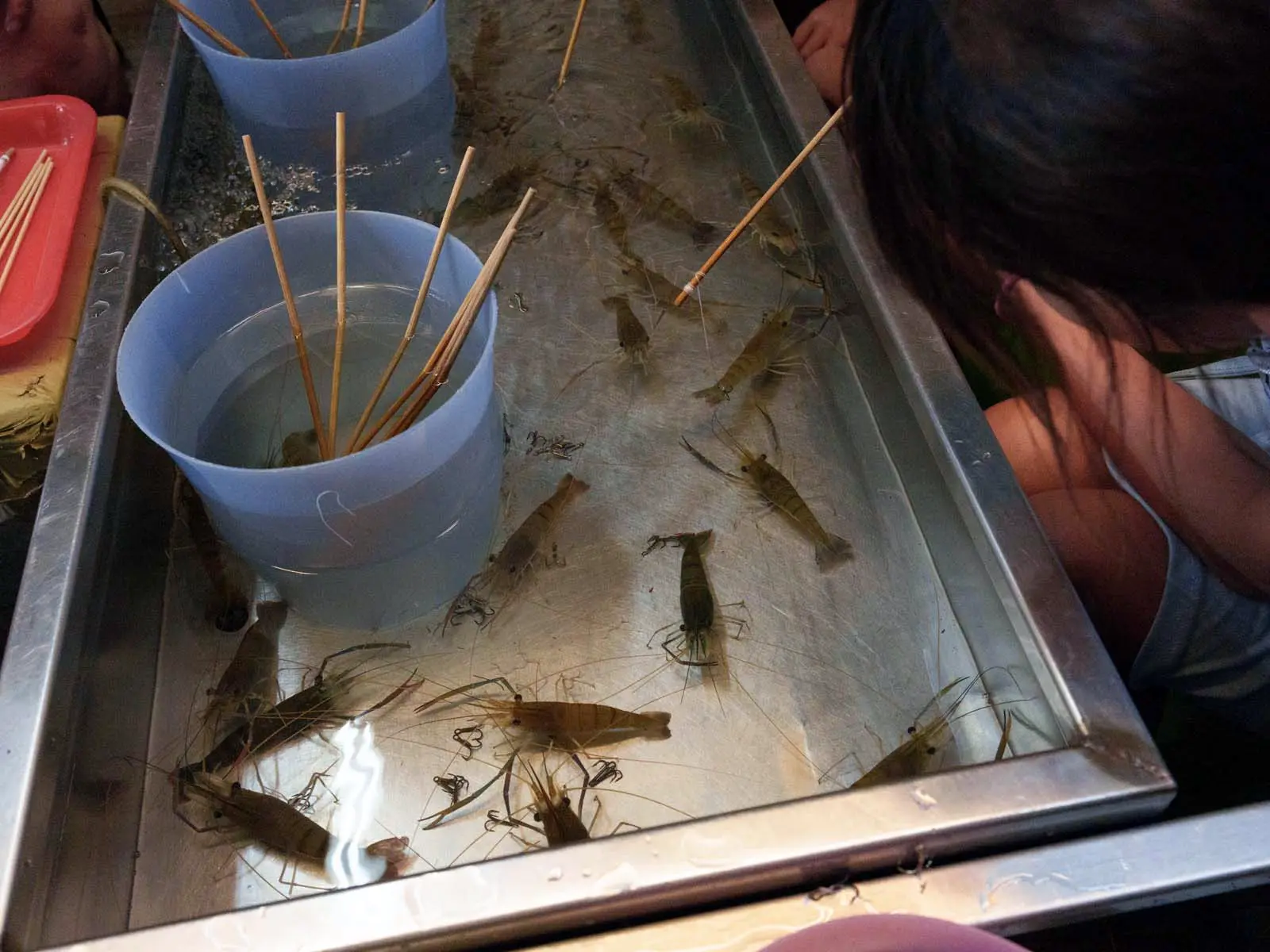 A child peers into a tray of live shrimp at a night market.